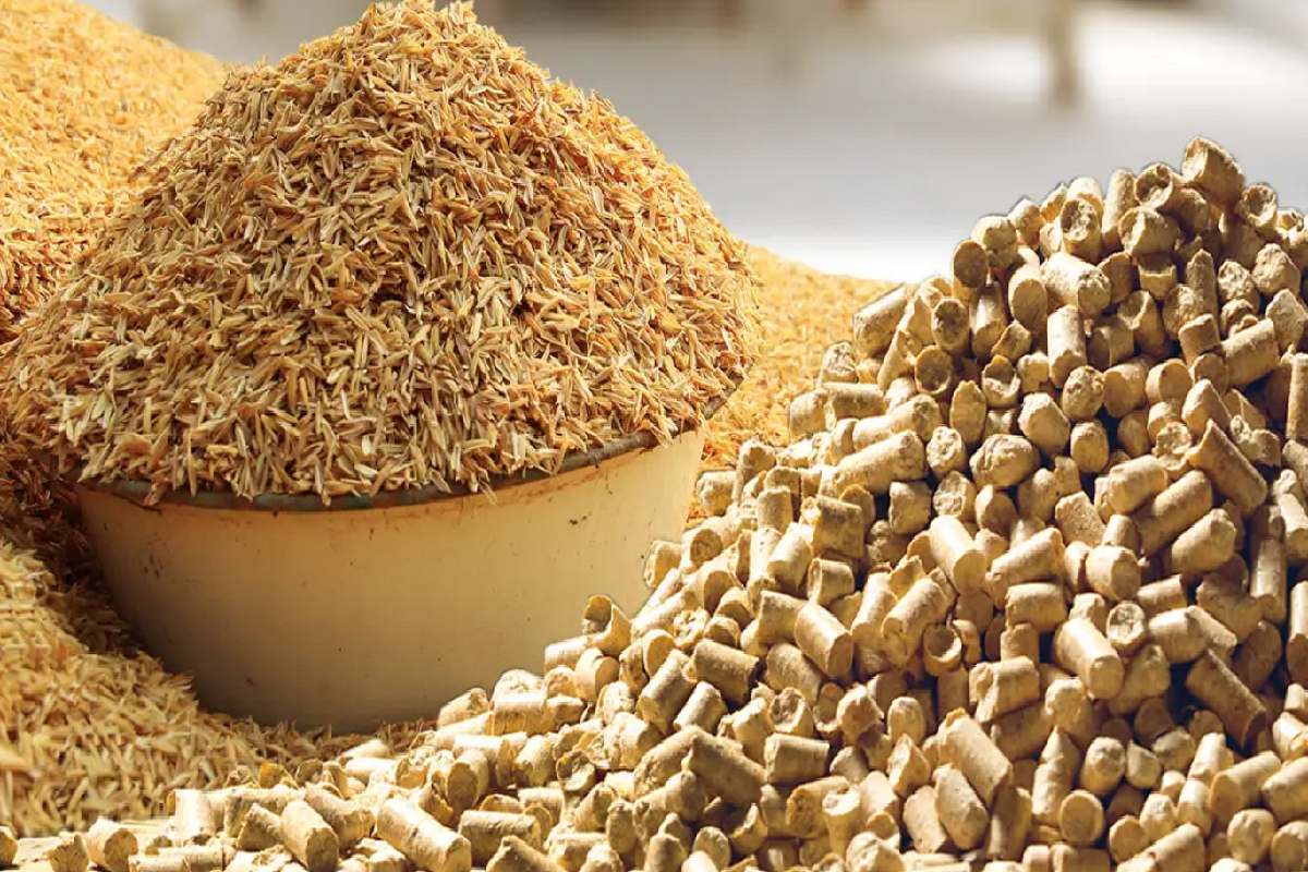 Trấu thô, trấu nghiền và trấu viên – Đâu là lựa chọn tối ưu?