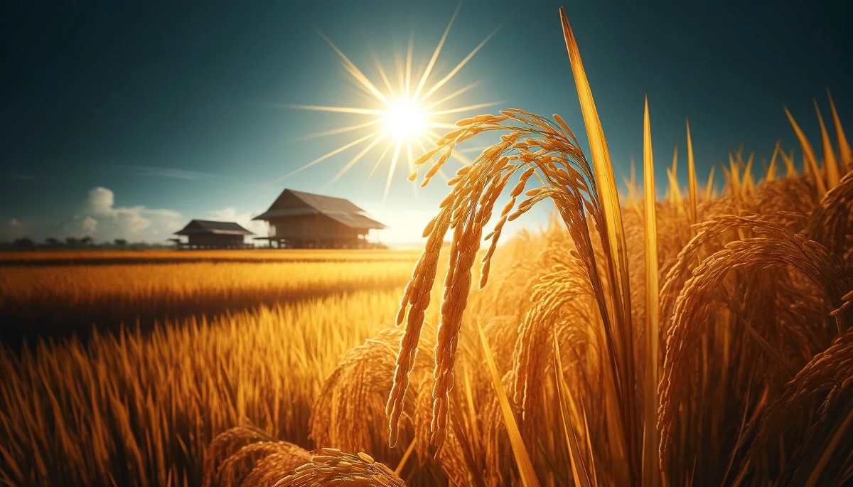 uu diem va nhuoc diem cua cac loai biomass pho bien hien nay 3